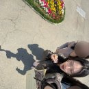 연산로 | 맛집 달란트 미친 목포를 다녀오다