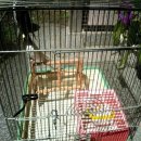 잉꼬세탁 이미지