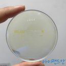 아이랜드안경전문점 이미지