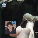 갤러리코쿤 이미지