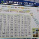 광어와친구들