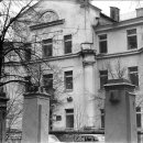 박신우 카카오 검색결과