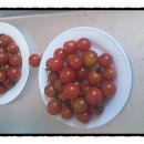 대포보건진료소 이미지