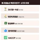 소도4 이미지