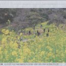 제주 올라 이미지