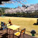 골체오름캠핑 | 제주에서의 특별한 캠핑, 골체오름캠핑