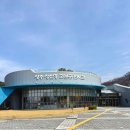 성주성산동고분군전시관 | [경북] 성주 고분군 전시관 / 아이와 함께 가기 좋은 역사 체험 공간