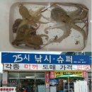 영일낚시25시