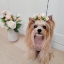 예쁜미용 이미지