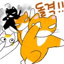 냐옹이네꽃집 이미지
