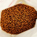 진사이언스 | 노령견사료추천 힐스 사이언스 다이어트 스몰앤미니,11살 푸들 실제 급여 후기