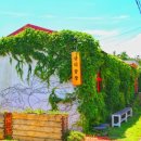 희진주유소 이미지