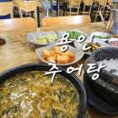 대박추어탕돌솥밥재첩국 | 용인 추어탕 맛집 돌솥밥이 나와서 더욱 좋았던 삼보추어탕