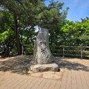원터골 | 서울 청계산 원터골 코스 등산 | 1400계단 체감 후기 + 매봉까지 기록