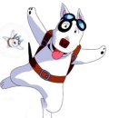 달려라 바우 이미지