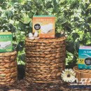 ㈜케이제이건설 이미지