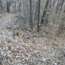 진양수도 이미지