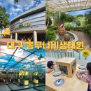 자연생태공원 나비애벌레관 옆 | 대구 봉무공원 나비생태원 아이랑 주차 예약 입장료까지