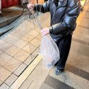 대성동물병원 | 251224