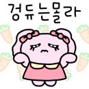 쥬디데이
