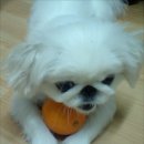 태평장여관 이미지