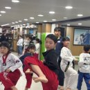 용오름태권도 이미지