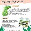 벼리나무