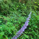 옥곡 축산 이미지