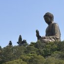 홍신실집