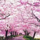 픽션하우스 이미지