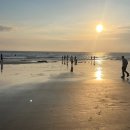 아일랜드리솜 이미지