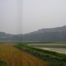 사금평 Daum카페