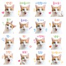 취미가 돈이 되는 시대, 이모티콘 만들기 | 쳇지피티 이모티콘 만들기 방법｜요즘 유행 카톡 스티커 제작 꿀팁 총정리