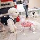 무무유치원 이미지