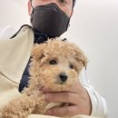 미사랑동물병원 이미지