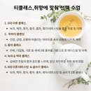 티앤북클래스