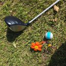 동해바다 | 골프존 카운티 감포CC 라운드 후기 * 동해바다 뷰 씨사이드