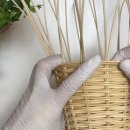 봄 맞이 힐링 라탄 이미지