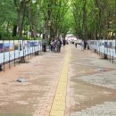 군포 예인예술제 이미지