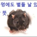볕들