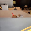 시흥대로47길 | 찍히고 긁힌 현관문 흠집 전문가 해결 방법 노하우 배우기 사례