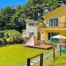 강릉애견하우스 이미지