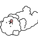 가온목장 이미지