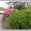 조선대학교병원 이미지