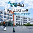 제주윈스톤 | 제주도 협재 해수욕장 근처 가성비 숙소 아이랑 가기좋은 윈스톤 호텔 후기