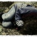 오형제 화장실 이미지