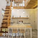 제주애물들다