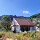 화수목민박 | 남해 다랭이마을 애견동반 사진찍기 좋은 카페톨 솔직후기