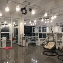 미미애견 이미지