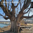 경기둘레길 여주35코스 | 여강길1코스 옛나루터길/경기둘레길35코스 소무산 야간산행기